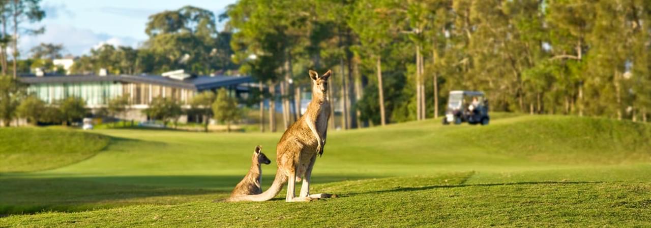 Golfurlaub Australien