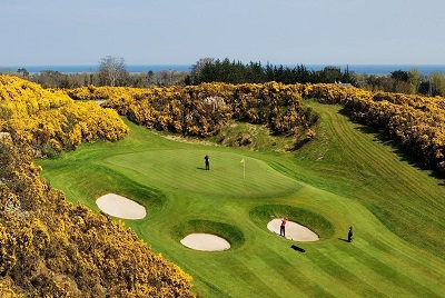 Druids Heath Golf ClubIrland Golfreisen und Golfurlaub
