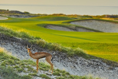 Saadiyat Beach & Golf ClubAbu Dhabi Golfreisen und Golfurlaub