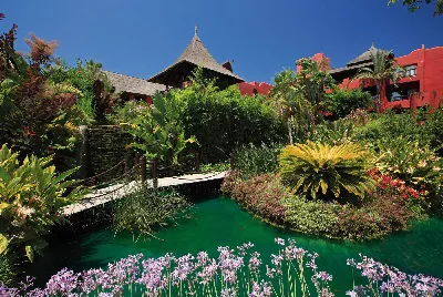 Asia Gardens Hotel & Thai Spa*****