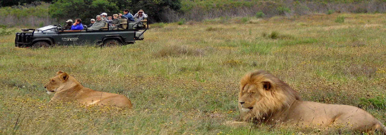 Gondwana Game Reserve - Südafrika