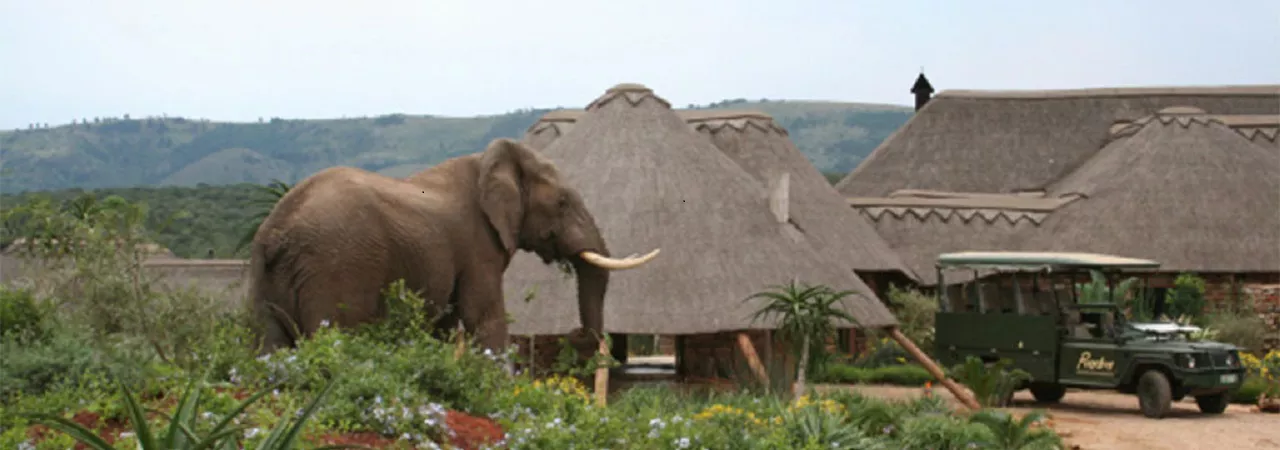 African Pride Pumba Private Game Reserve***** - Südafrika