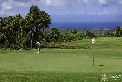 Avalon Golf ClubMauritius Golfreisen und Golfurlaub