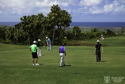 Avalon Golf ClubMauritius Golfreisen und Golfurlaub