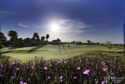 Avalon Golf Club Golfplätze Mauritius