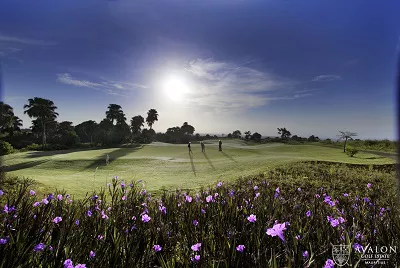 Avalon Golf ClubMauritius Golfreisen und Golfurlaub