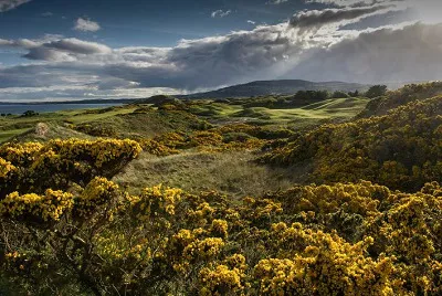 The European Golf ClubIrland Golfreisen und Golfurlaub