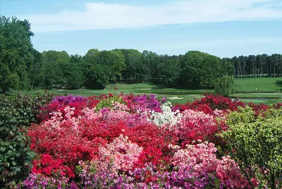 Castelconturbia Golf ClubItalien Golfreisen und Golfurlaub