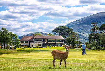 Killarney Golf & Fishing ClubIrland Golfreisen und Golfurlaub