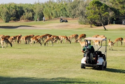 Albarella Golf LinksItalien Golfreisen und Golfurlaub