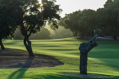 San Roque Club (Old Course)Spanien Golfreisen und Golfurlaub