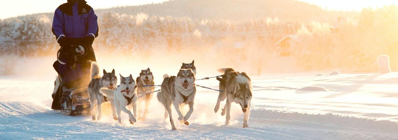 Northern Lights Village Levi - 