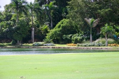 Teeth of the Dog - Casa de Campo Golfplätze Dominikanische Republik