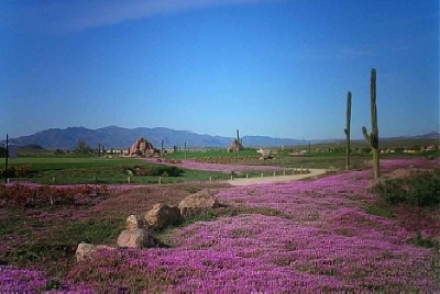 Spanien Golfreisen und Golfurlaub