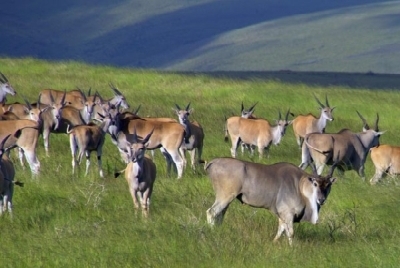 Südafrika Golfreisen und Golfurlaub