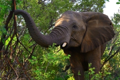 Südafrika Golfreisen und Golfurlaub