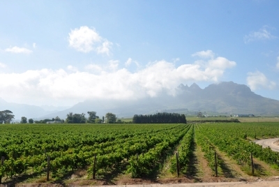 Südafrika Golfreisen und Golfurlaub