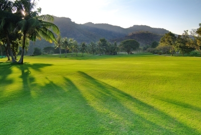 Palm Hills Golf Course