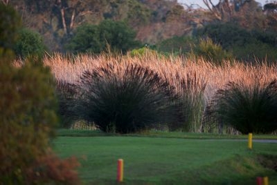 Südafrika Golfreisen und Golfurlaub