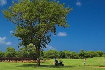 Mauritius Golfreisen und Golfurlaub