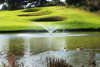 Goose Valley Golf Club