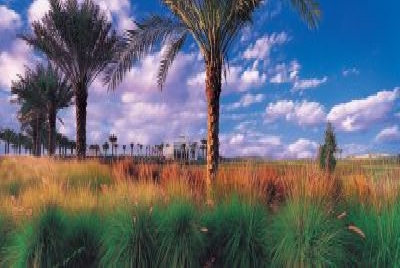 Dubai Golfreisen und Golfurlaub