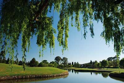 Randpark Golf Course